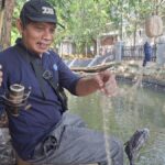 Operasi Penangkapan Ikan Sapu-Sapu DKI Hasilkan 6,98 Ton